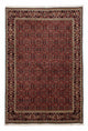 Bidjar Rug 246x172cm - Persian Rugs