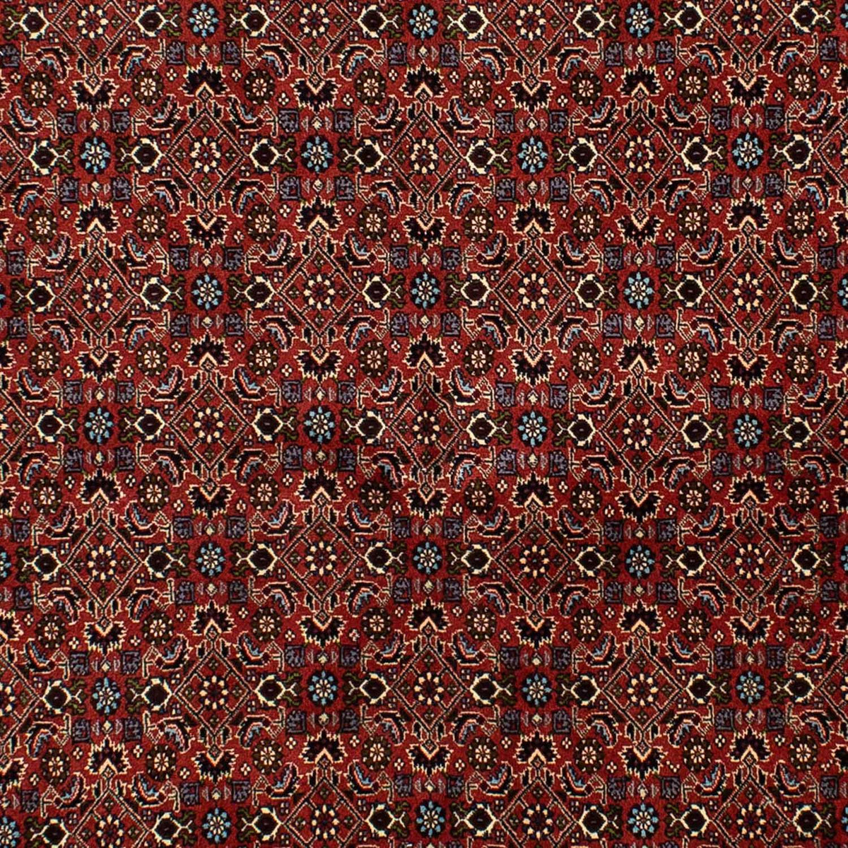 Perser Rug - Bidjar - 246 x 172 cm - dark red