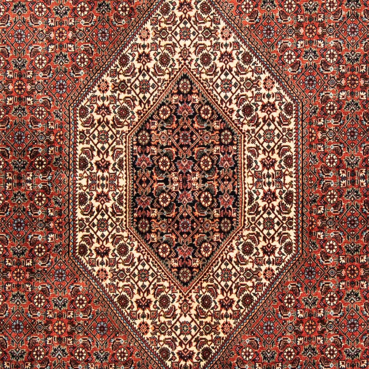 Perser Rug - Bidjar - 252 x 150 cm - red