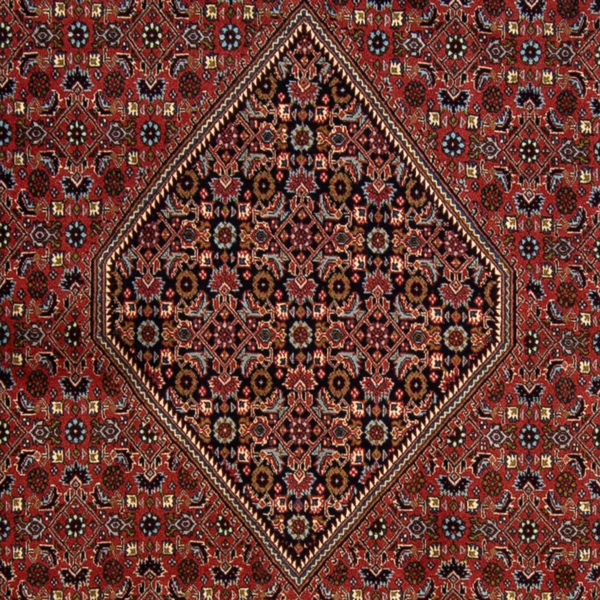Perser Rug - Bidjar - 337 x 250 cm - dark red
