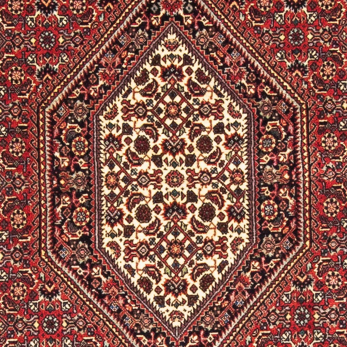 Perser Rug - Bidjar - 153 x 89 cm - red
