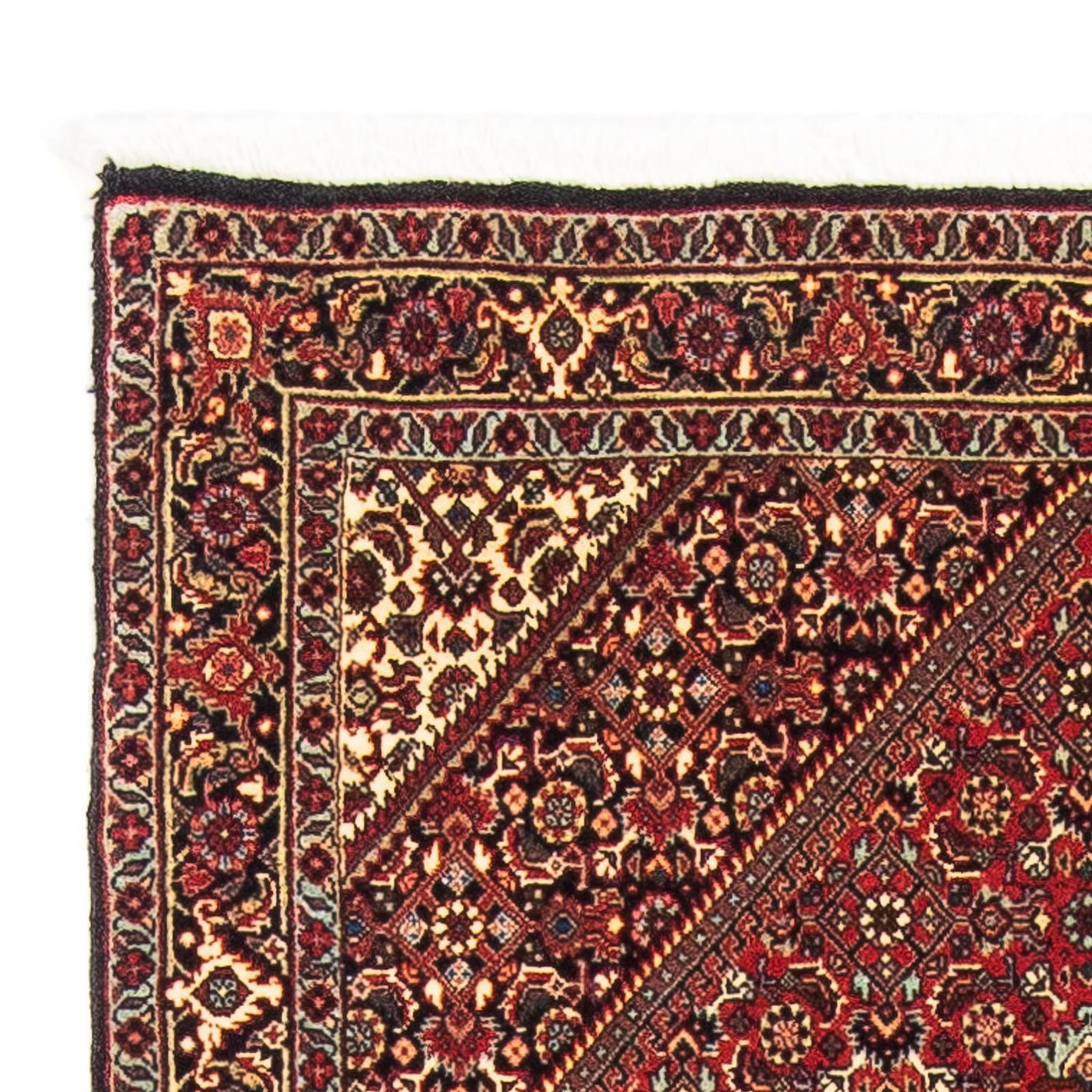 Bidjar Rug 153x89cm - Persian Rugs