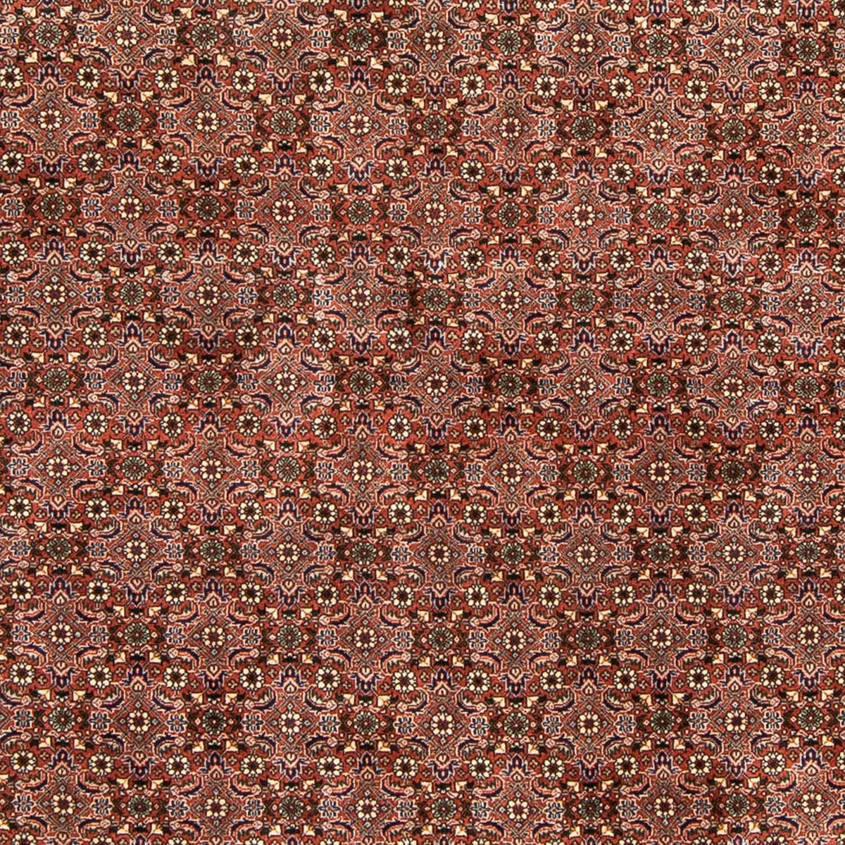 Perser Rug - Bidjar - 235 x 167 cm - light red