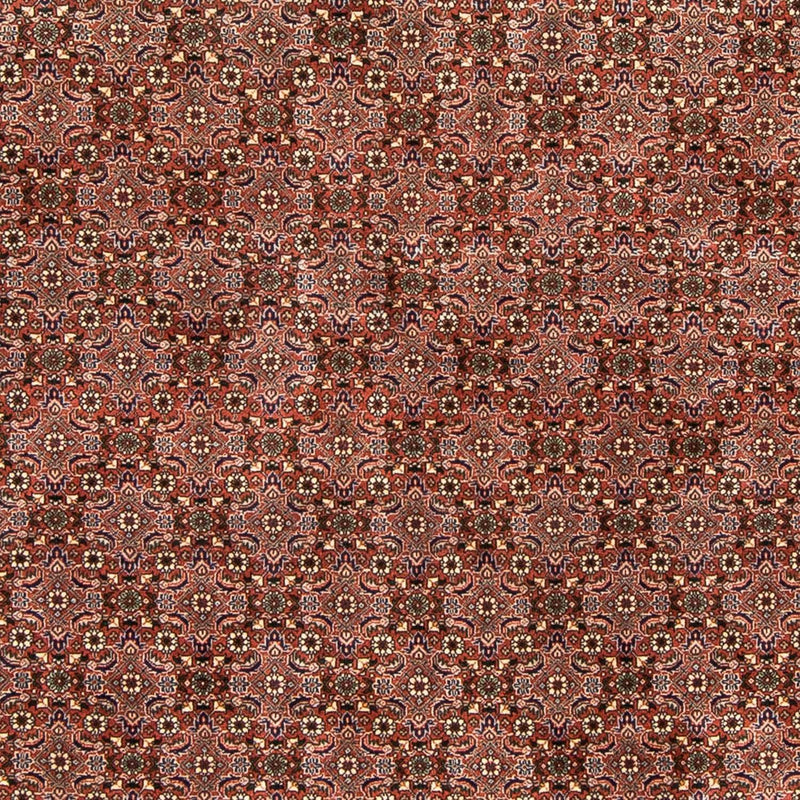 Perser Rug - Bidjar - 235 x 167 cm - light red