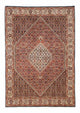 Bidjar Rug 242x165cm - Persian Rugs