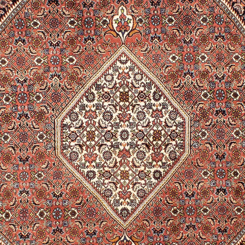 Bidjar Rug 242x165cm - Persian Rugs