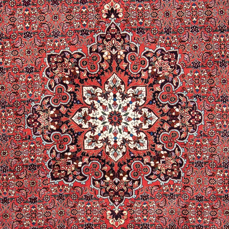 Perser Rug - Bidjar - 240 x 170 cm - red