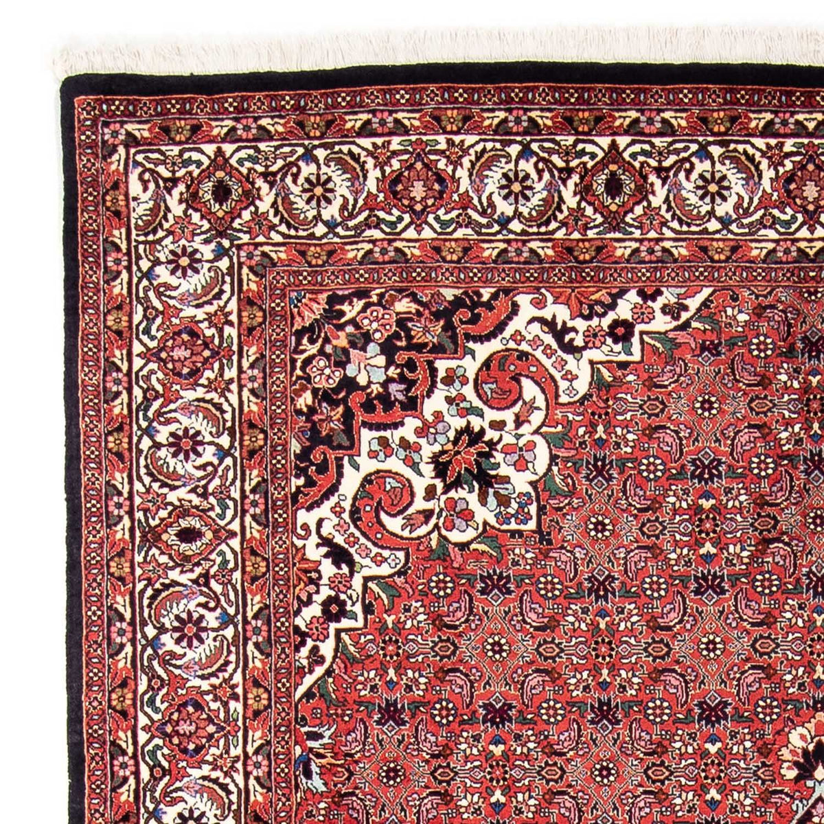 Bidjar Rug 170x240cm - Persian Rugs