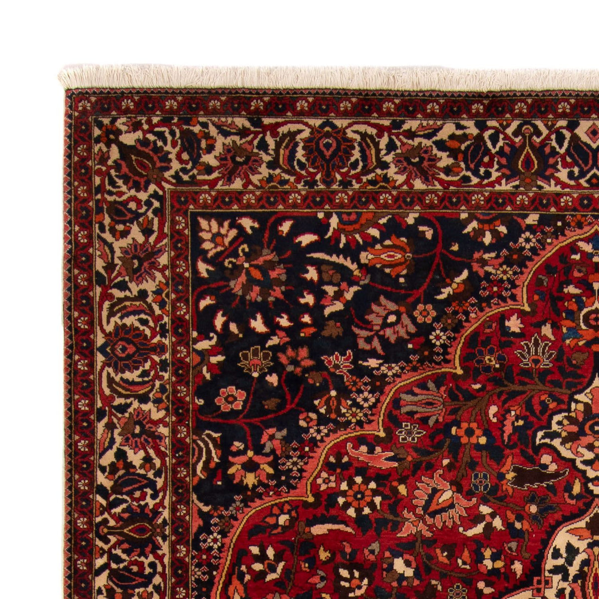 Bakhtiari Rug 263x365cm - Persian Rugs