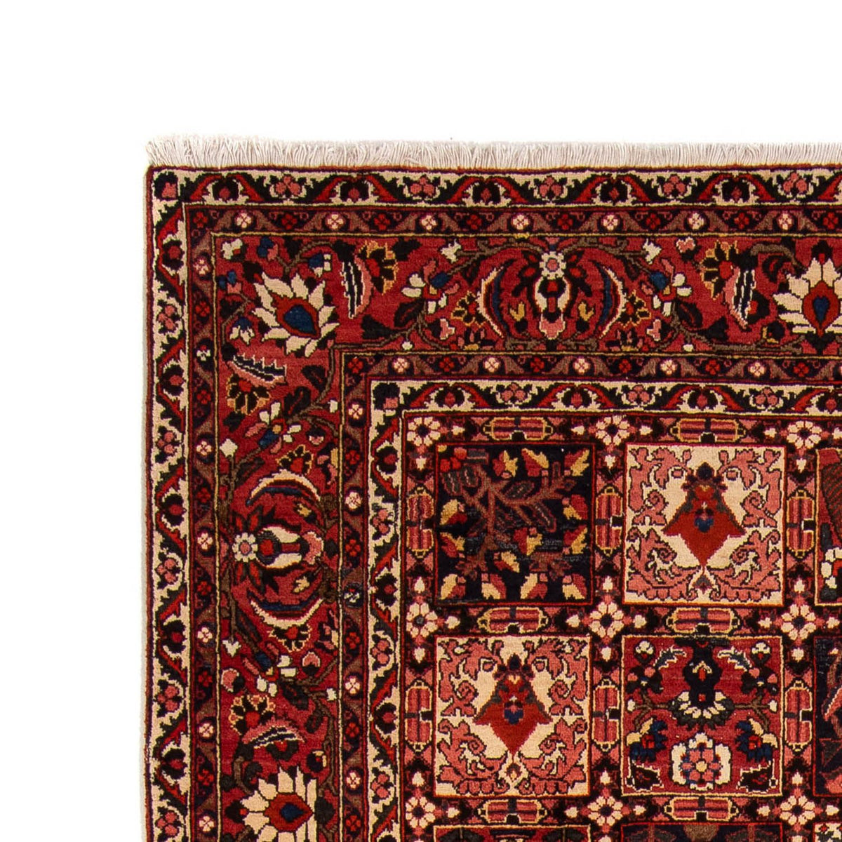 Bakhtiari Rug 265x365cm - Persian Rugs