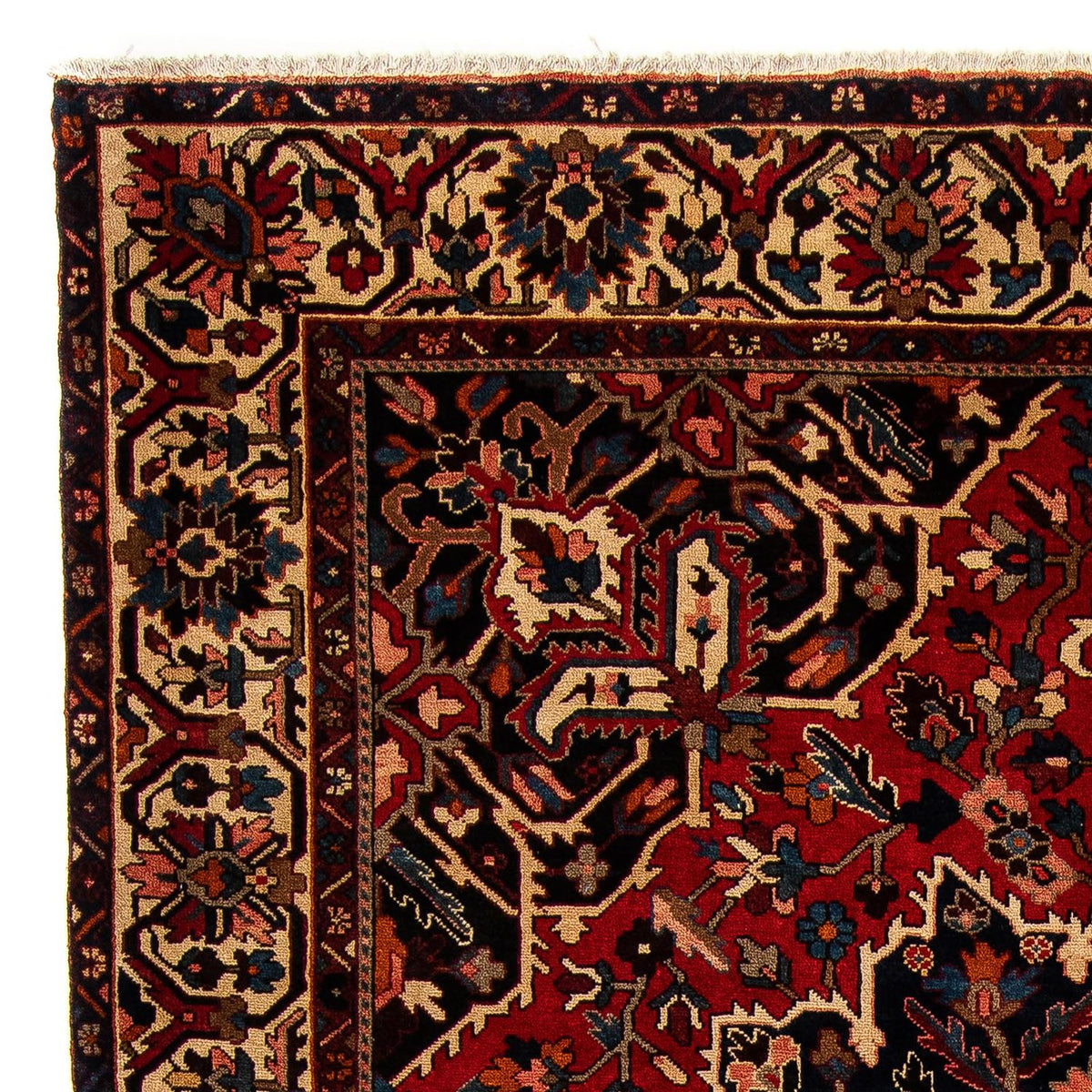 Bakhtiari Rug 312x364cm - Persian Rugs