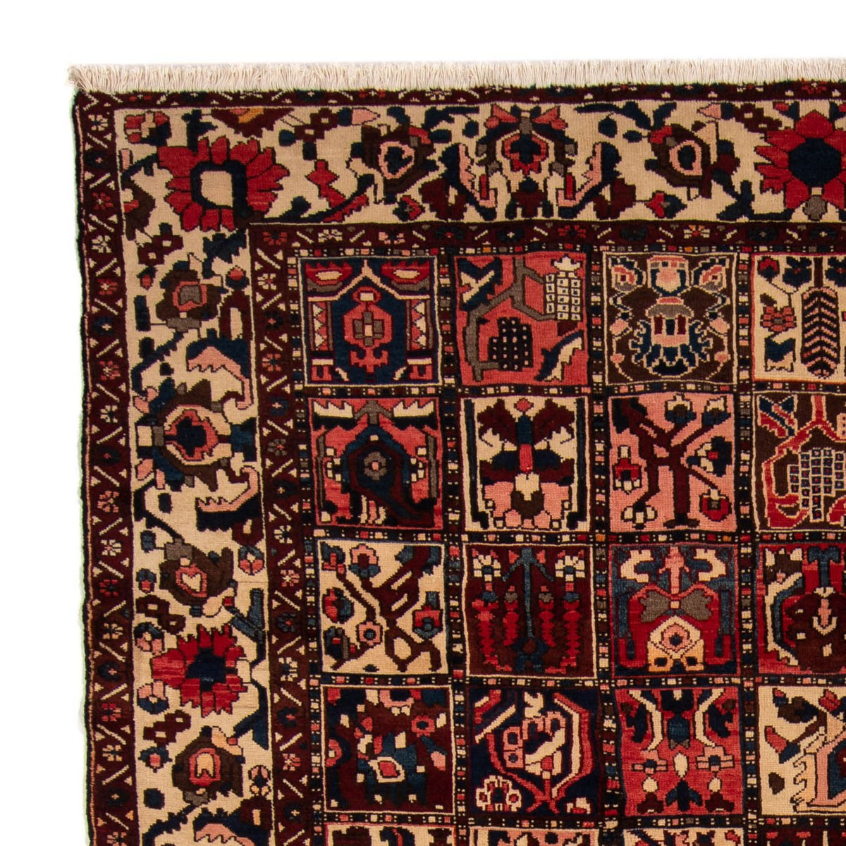 Bakhtiari Rug 258x337cm - Persian Rugs