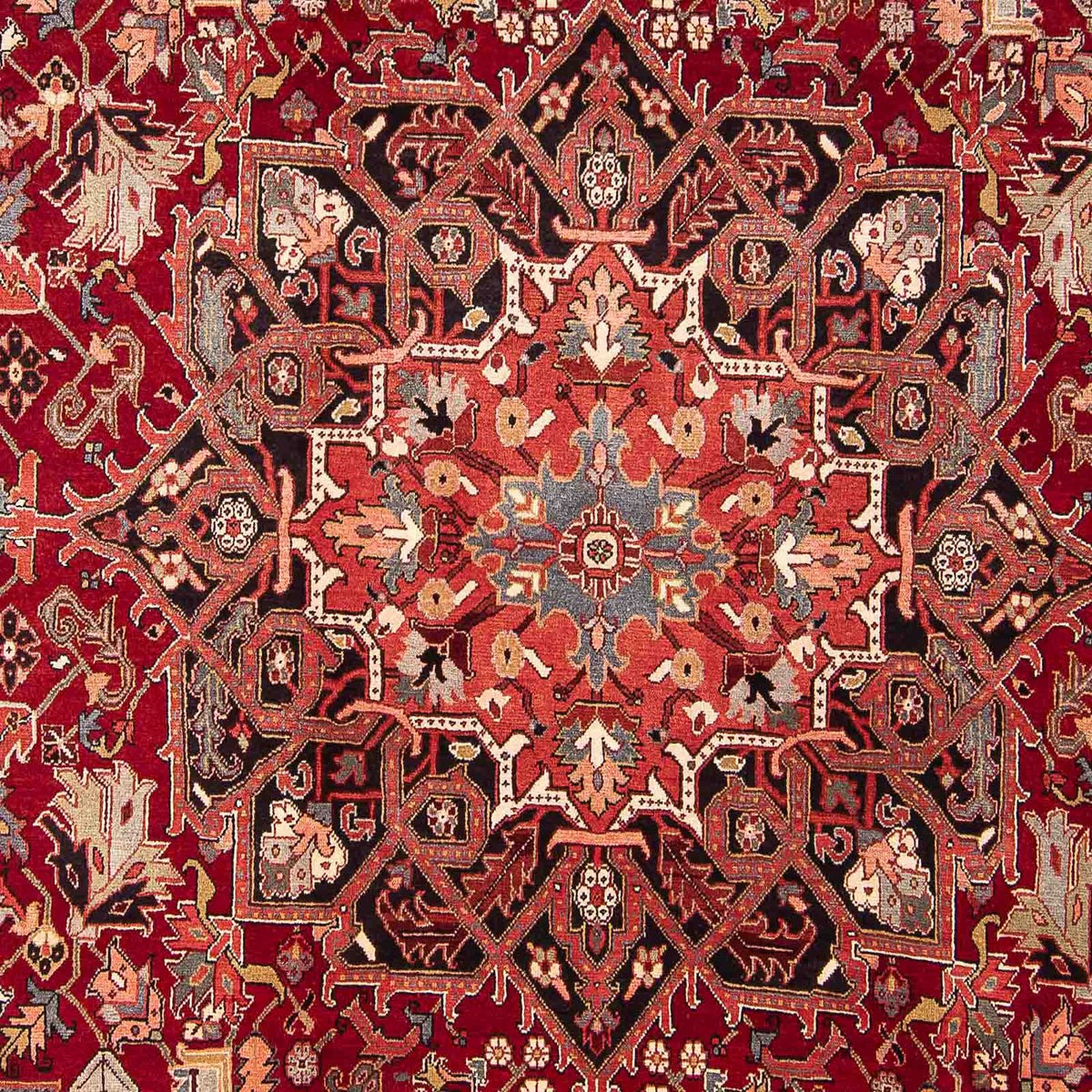 Perser Rug - Nomadic - 334 x 265 cm - dark red
