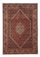 Bidjar Rug 243x167cm - Persian Rugs
