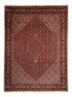 Bidjar Rug 248x338cm - Persian Rugs