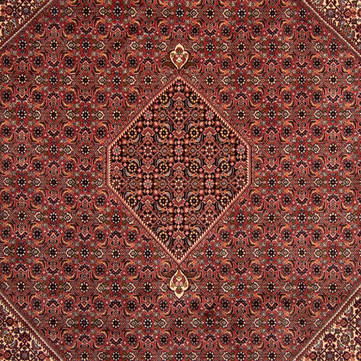 Perser Rug - Bidjar - 338 x 248 cm - brown