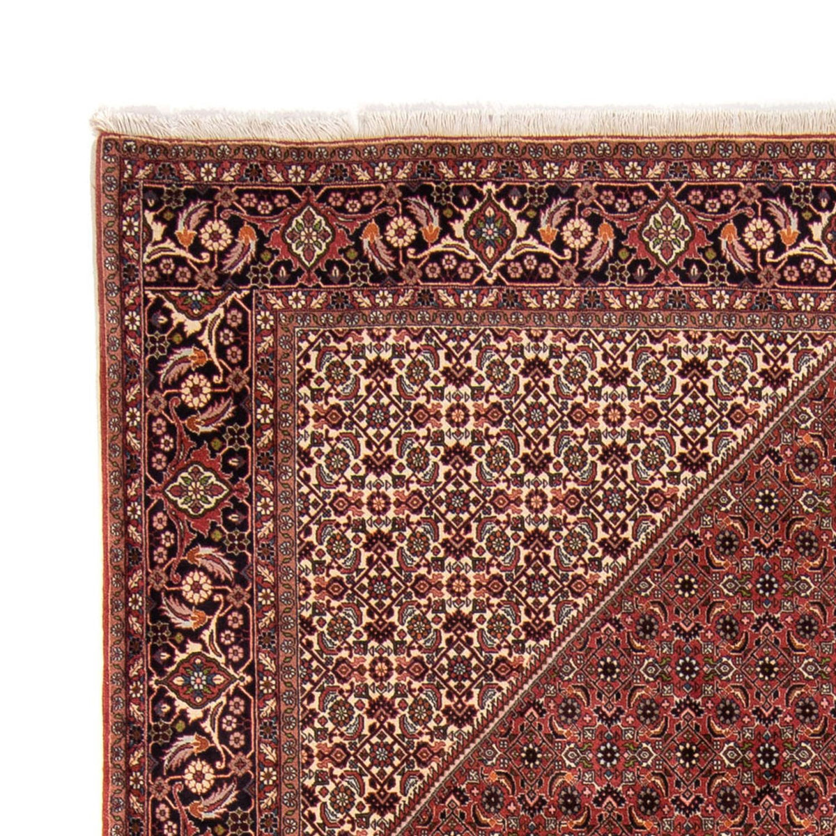 Bidjar Rug 248x338cm - Persian Rugs