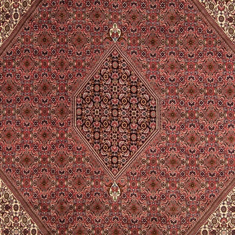 Perser Rug - Bidjar - 350 x 245 cm - brown