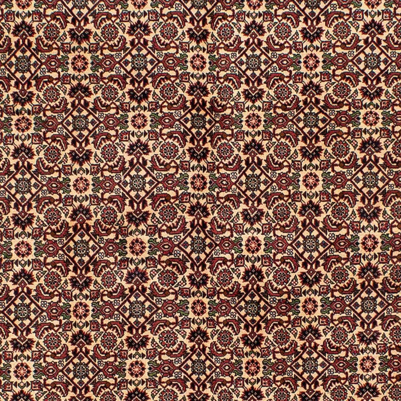 Perser Rug - Bidjar - 249 x 172 cm - brown