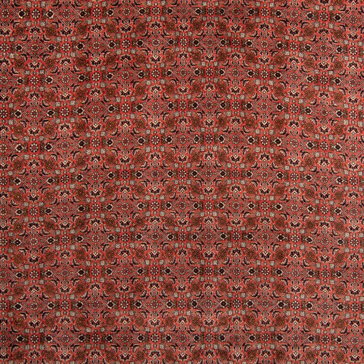 Perser Rug - Bidjar - 357 x 248 cm - dark red