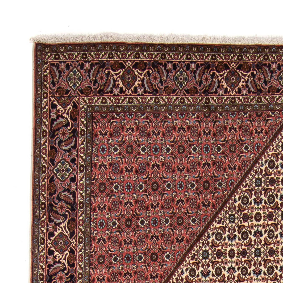 Bidjar Rug 252x343cm - Persian Rugs
