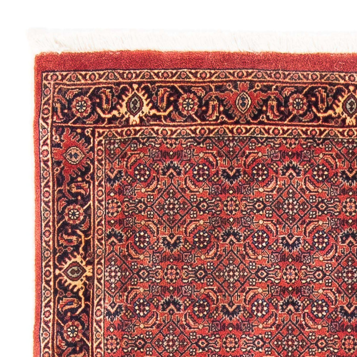 Bidjar Rug 90x154cm - Persian Rugs