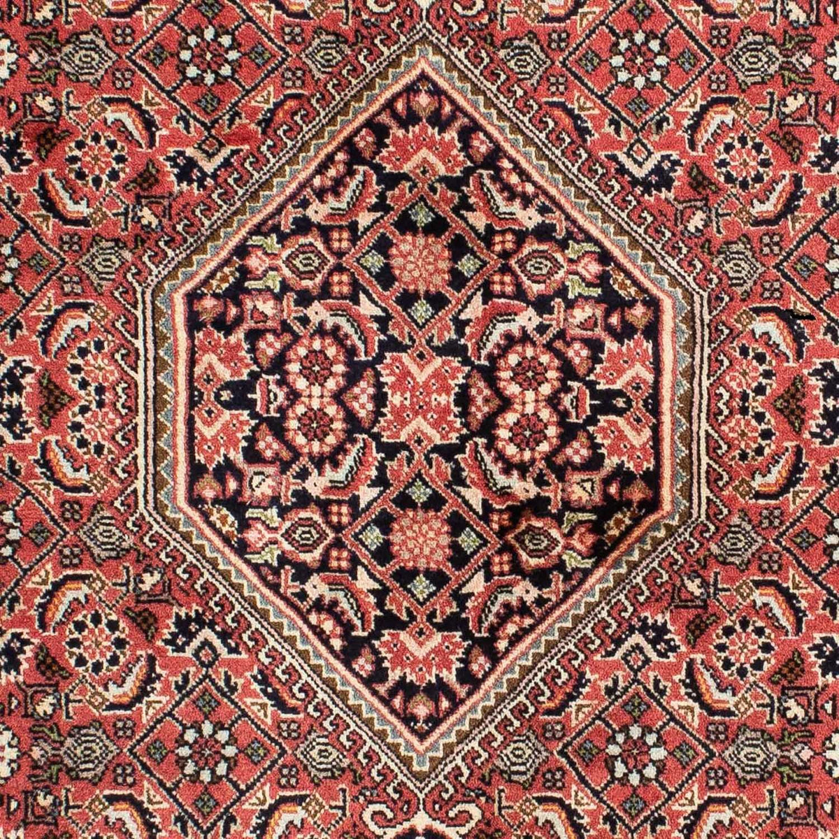 Perser Rug - Bidjar - 210 x 139 cm - red