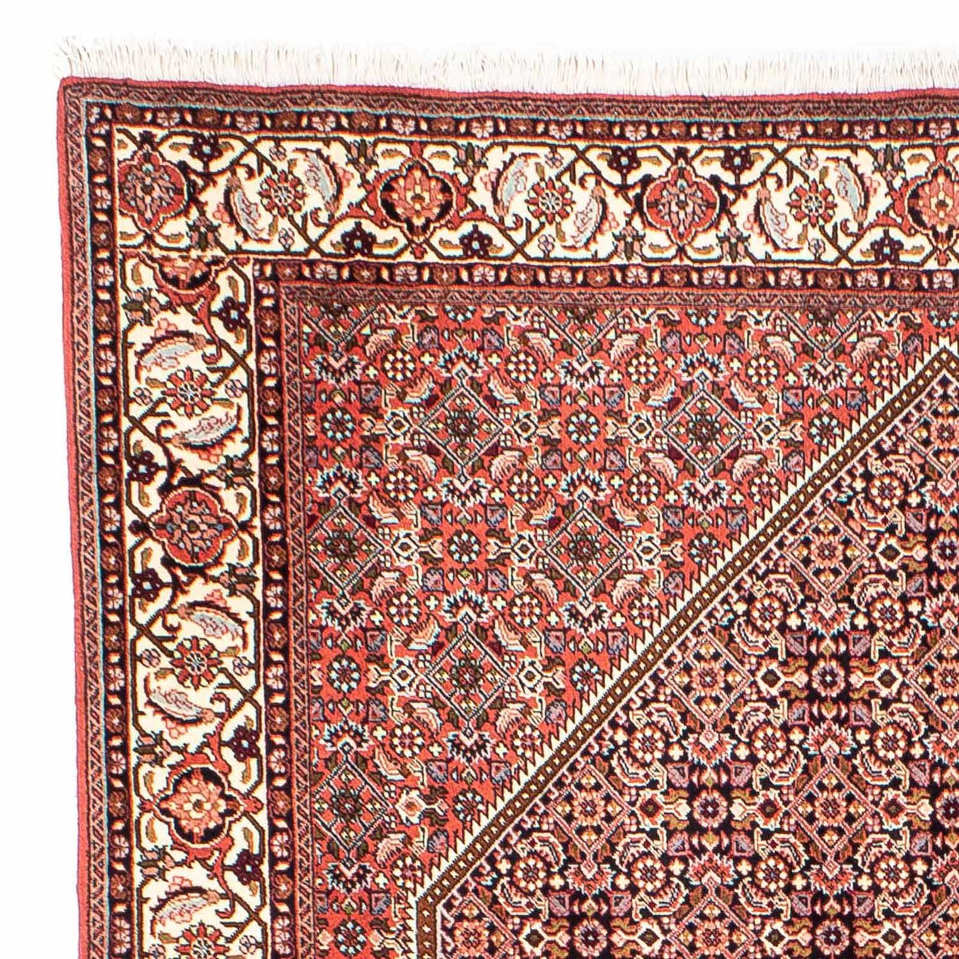 Bidjar Rug 250x169cm - Persian Rugs