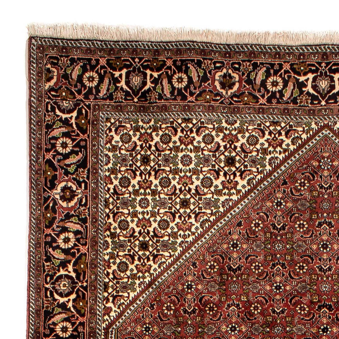 Bidjar Rug 300x197cm - Persian Rugs