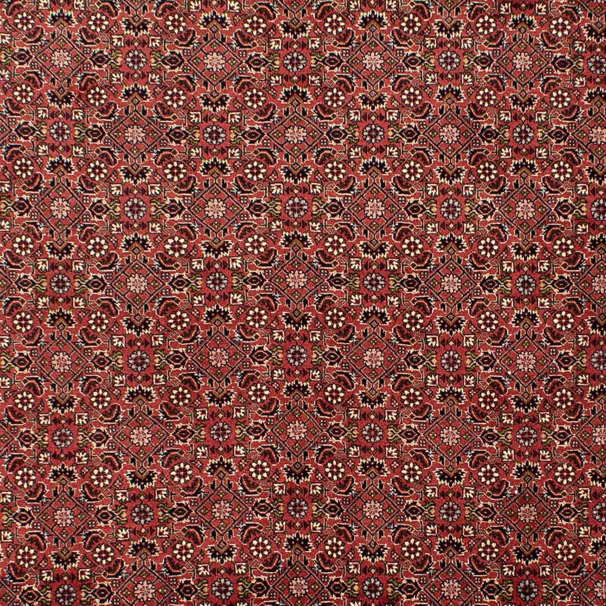 Perser Rug - Bidjar - 310 x 196 cm - dark red