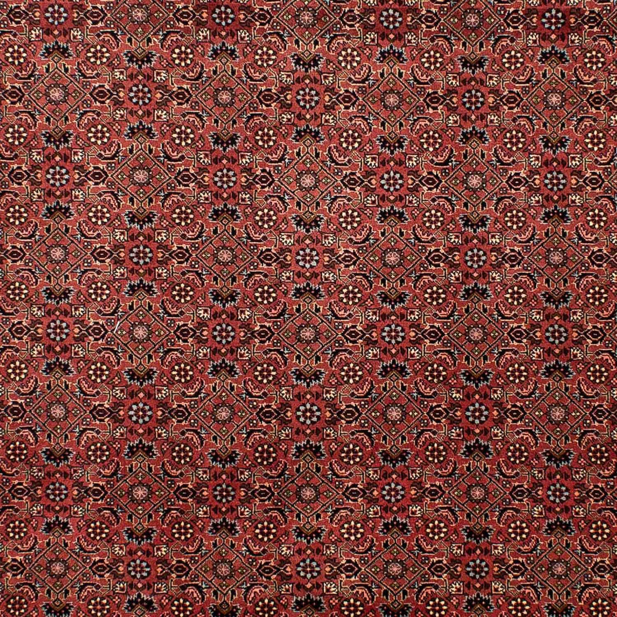 Perser Rug - Bidjar - 292 x 203 cm - dark red