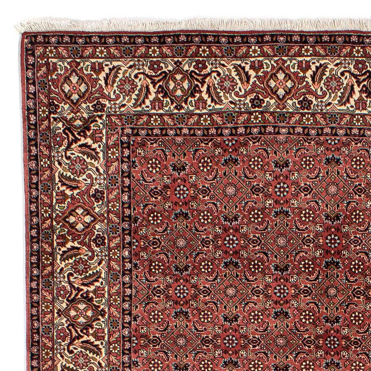 Perser Rug - Bidjar - 292 x 203 cm - dark red