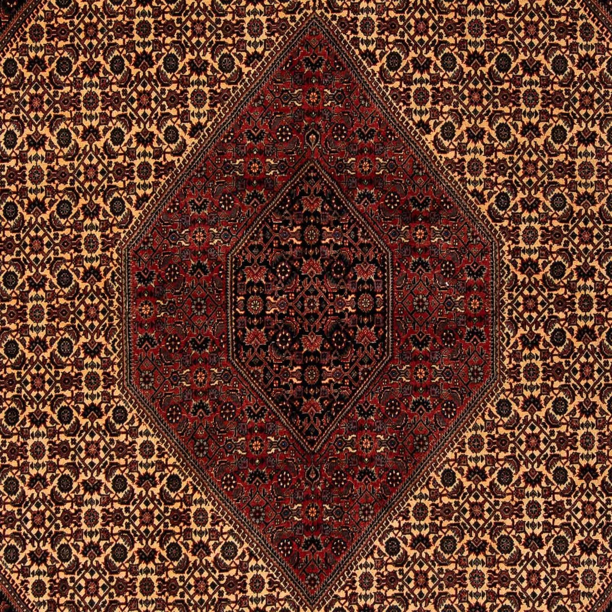Perser Rug - Bidjar - 250 x 200 cm - dark red