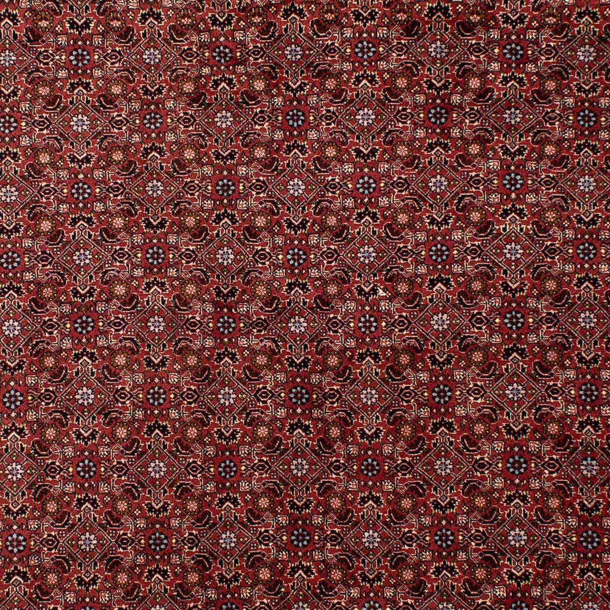 Perser Rug - Bidjar - 288 x 198 cm - dark red