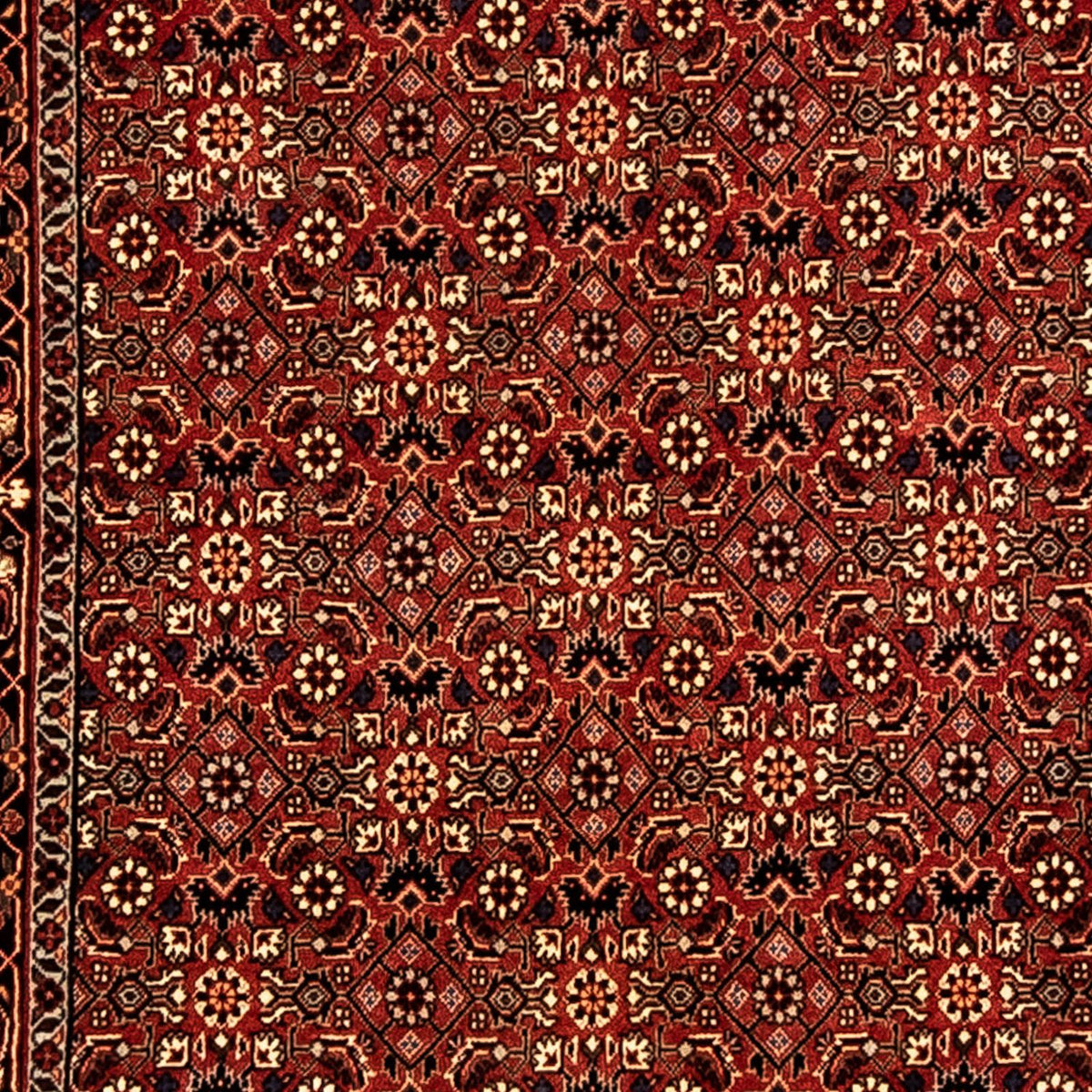 Runner Perser Rug - Bidjar - 296 x 81 cm - multicolored