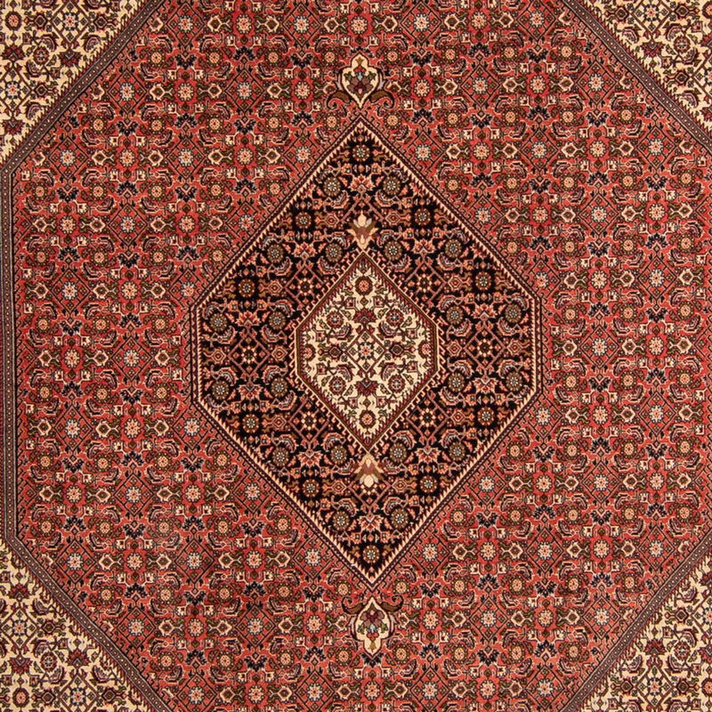 Perser Rug - Bidjar - 343 x 250 cm - brown