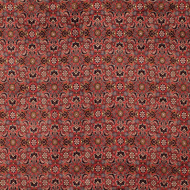 Perser Rug - Bidjar - 293 x 206 cm - dark red