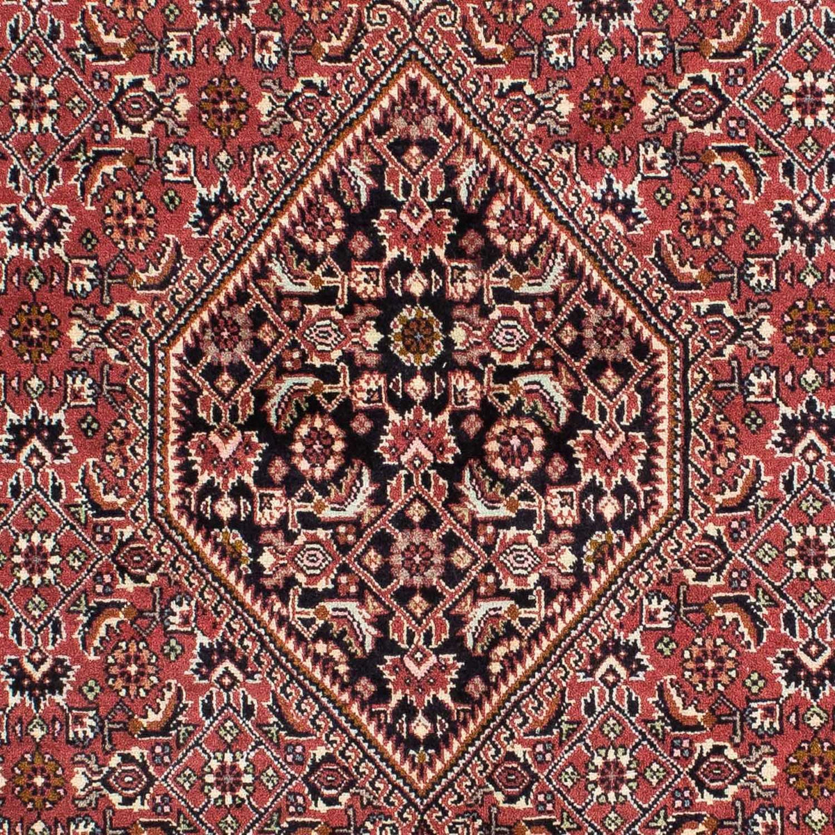 Perser Rug - Bidjar - 228 x 142 cm - red