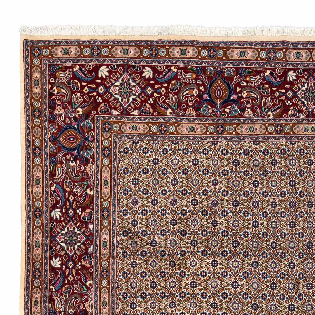 Moud Rug 254x355cm - Persian Rugs