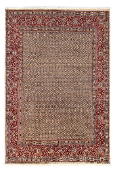 Moud Rug 238x346cm - Persian Rugs