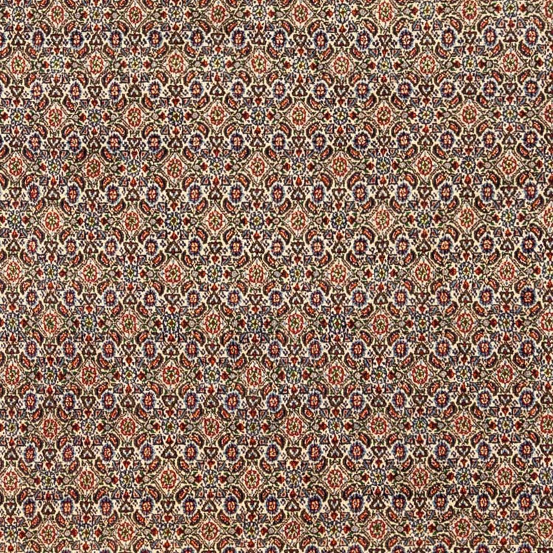 Moud Rug 238x346cm - Persian Rugs