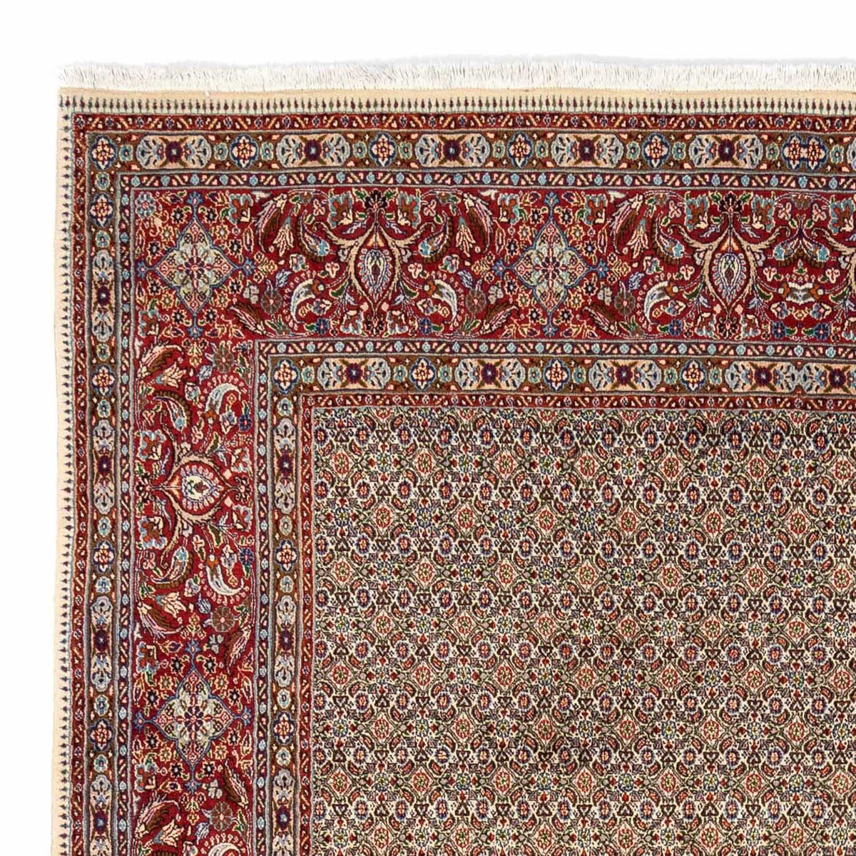 Moud Rug 238x346cm - Persian Rugs