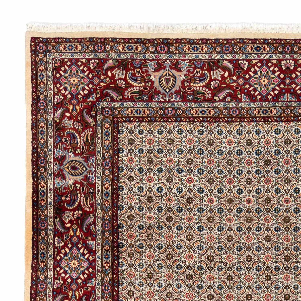 Moud Rug 244x345cm - Persian Rugs