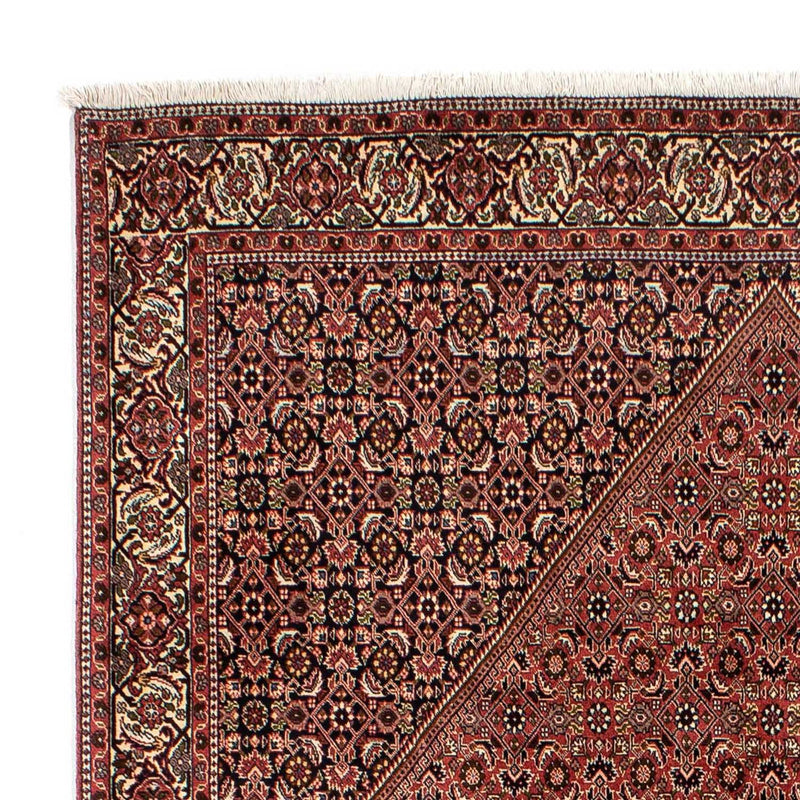 Perser Rug - Bidjar - 288 x 200 cm - brown
