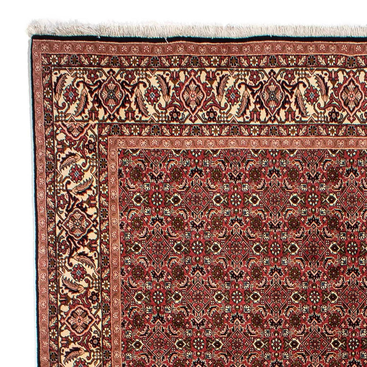 Bidjar Rug 202x284cm - Persian Rugs