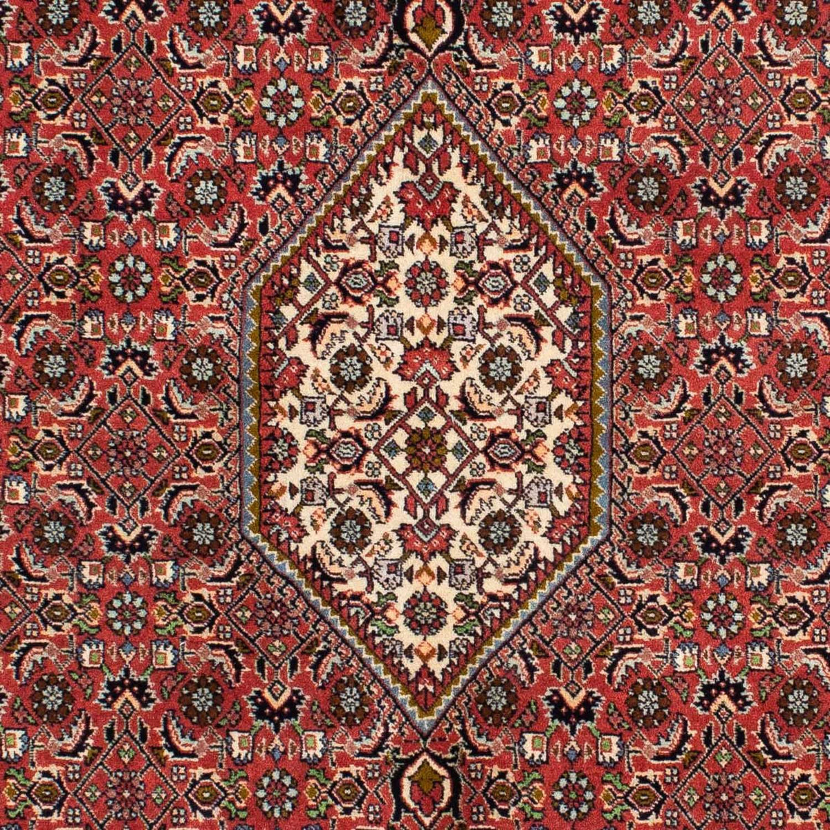Perser Rug - Bidjar - 218 x 137 cm - red