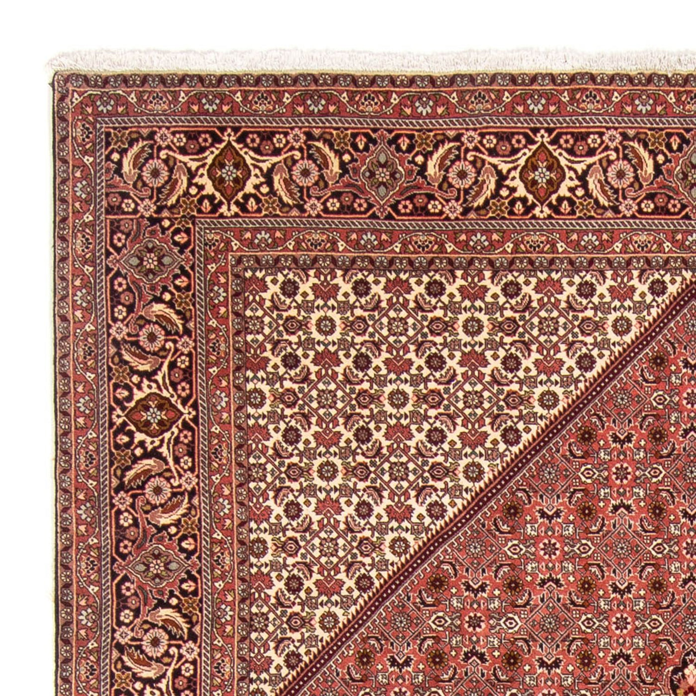 Bidjar Rug 340x248cm - Persian Rugs