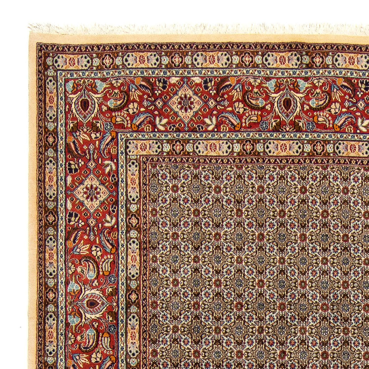 Moud Rug 250x345cm - Persian Rugs