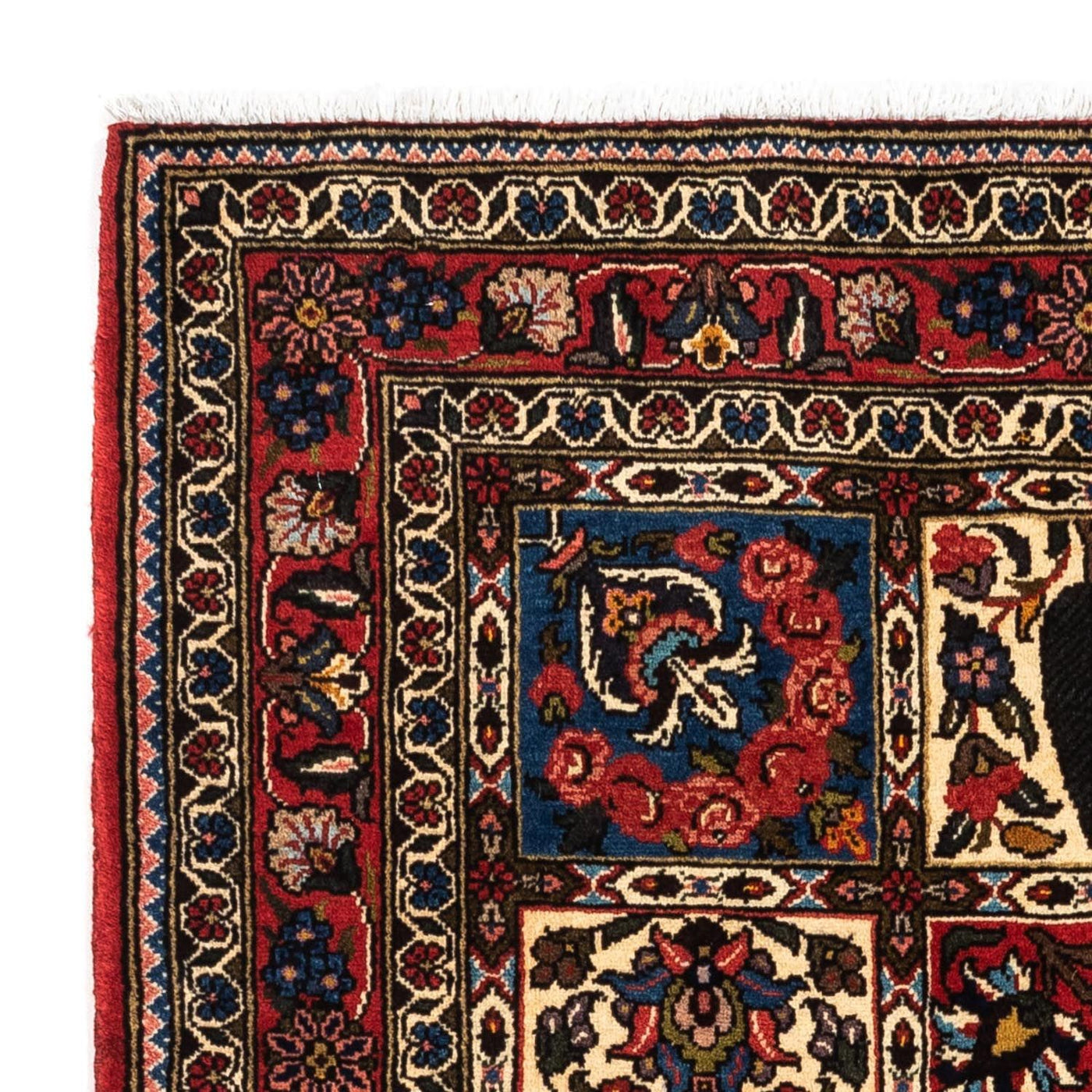 Bakhtiari Rug 153x103cm - Persian Rugs