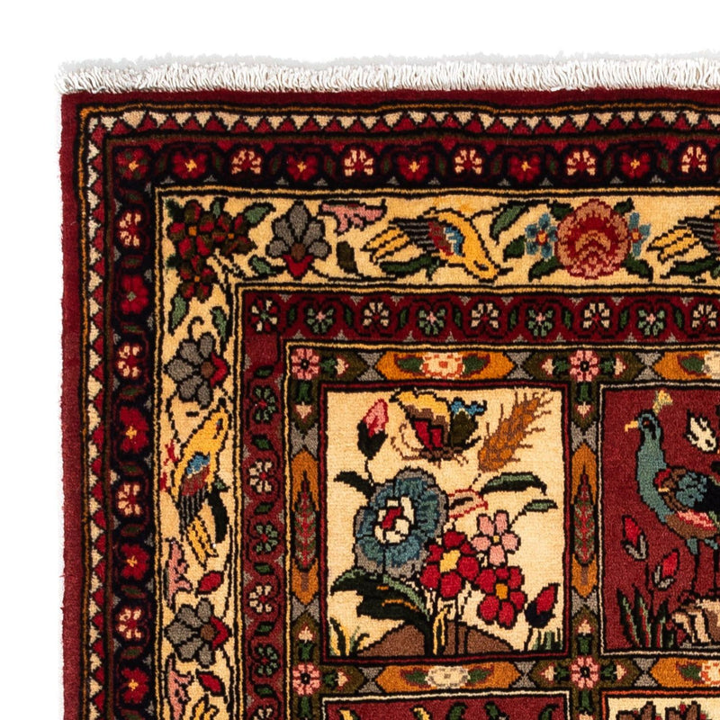 Bakhtiari Rug 172x110cm - Persian Rugs